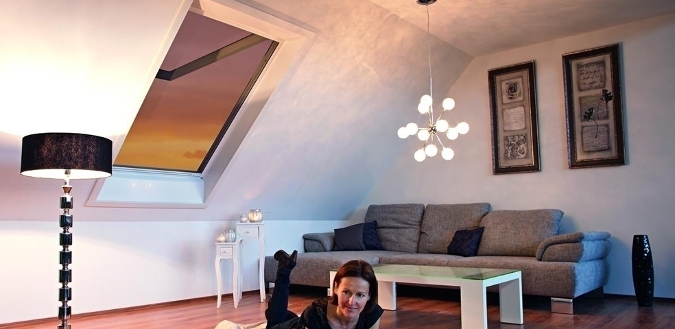 Roto für Insektenschutz & Rollos Fliegengitter Dachfenster: